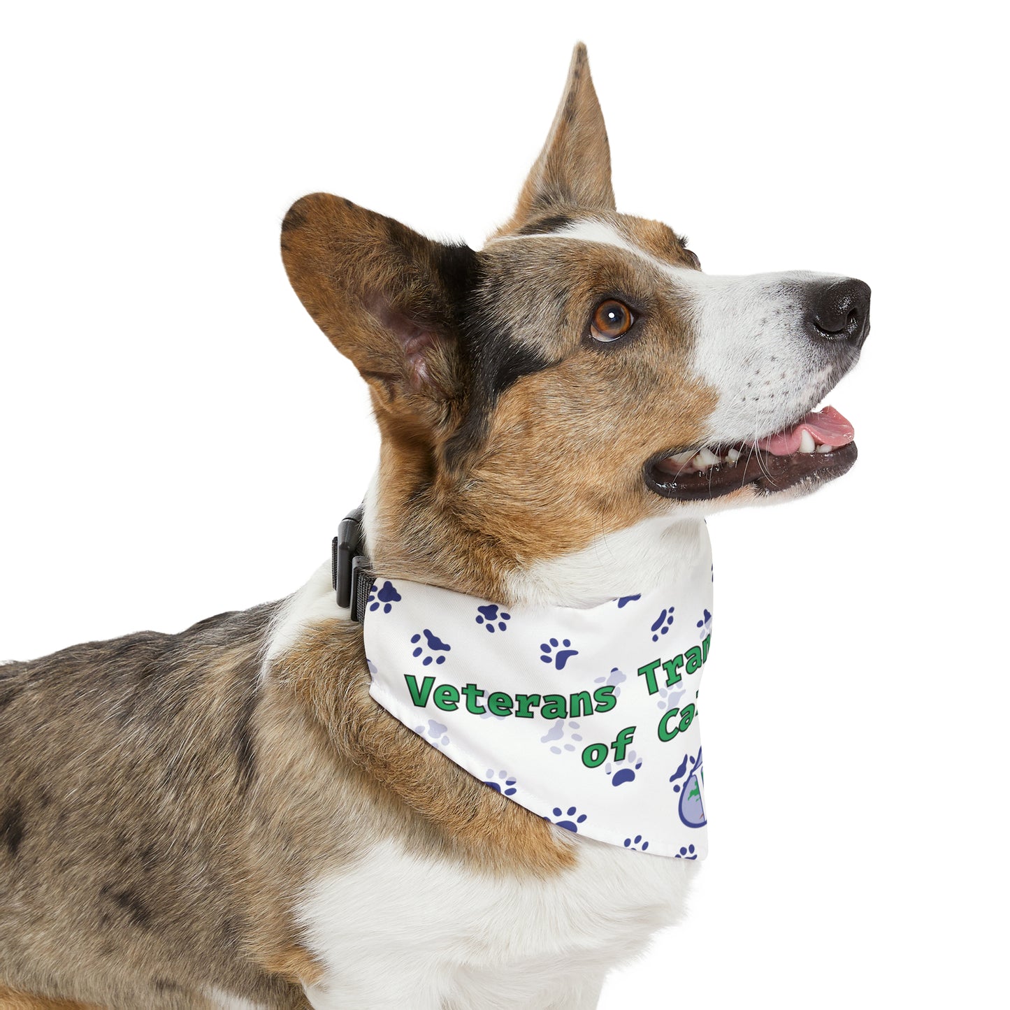 VTC Pet Bandana