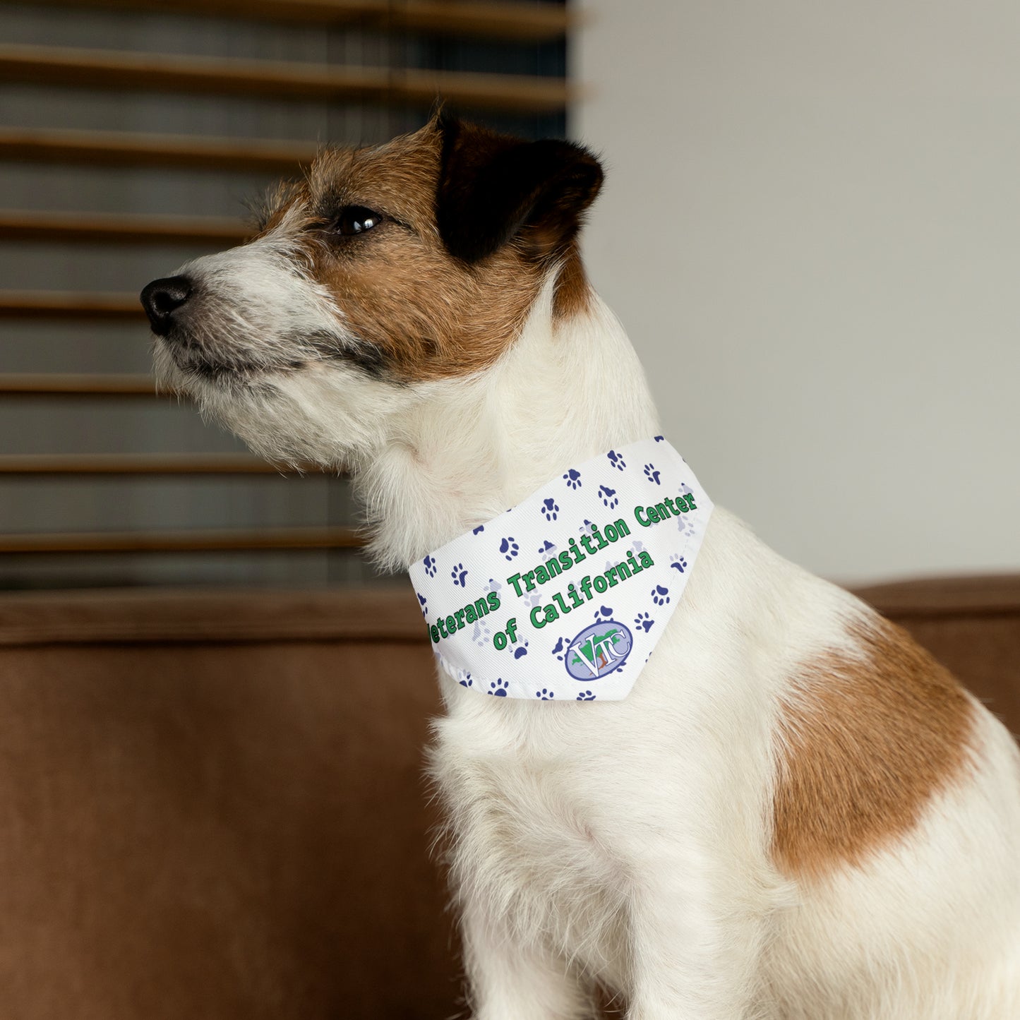 VTC Pet Bandana