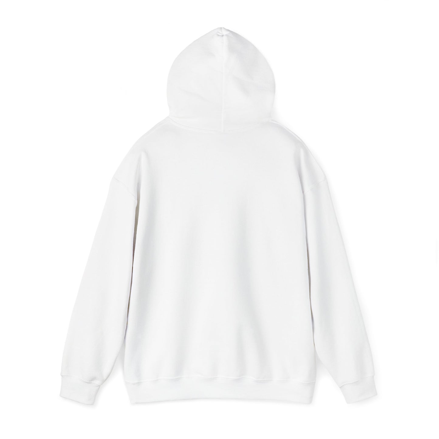 VTC Classic Hoodie