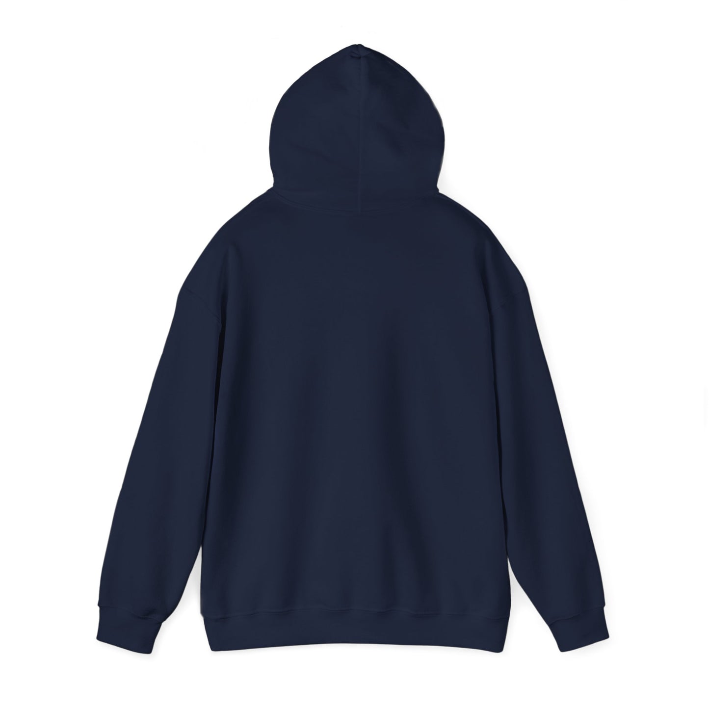 VTC Classic Hoodie