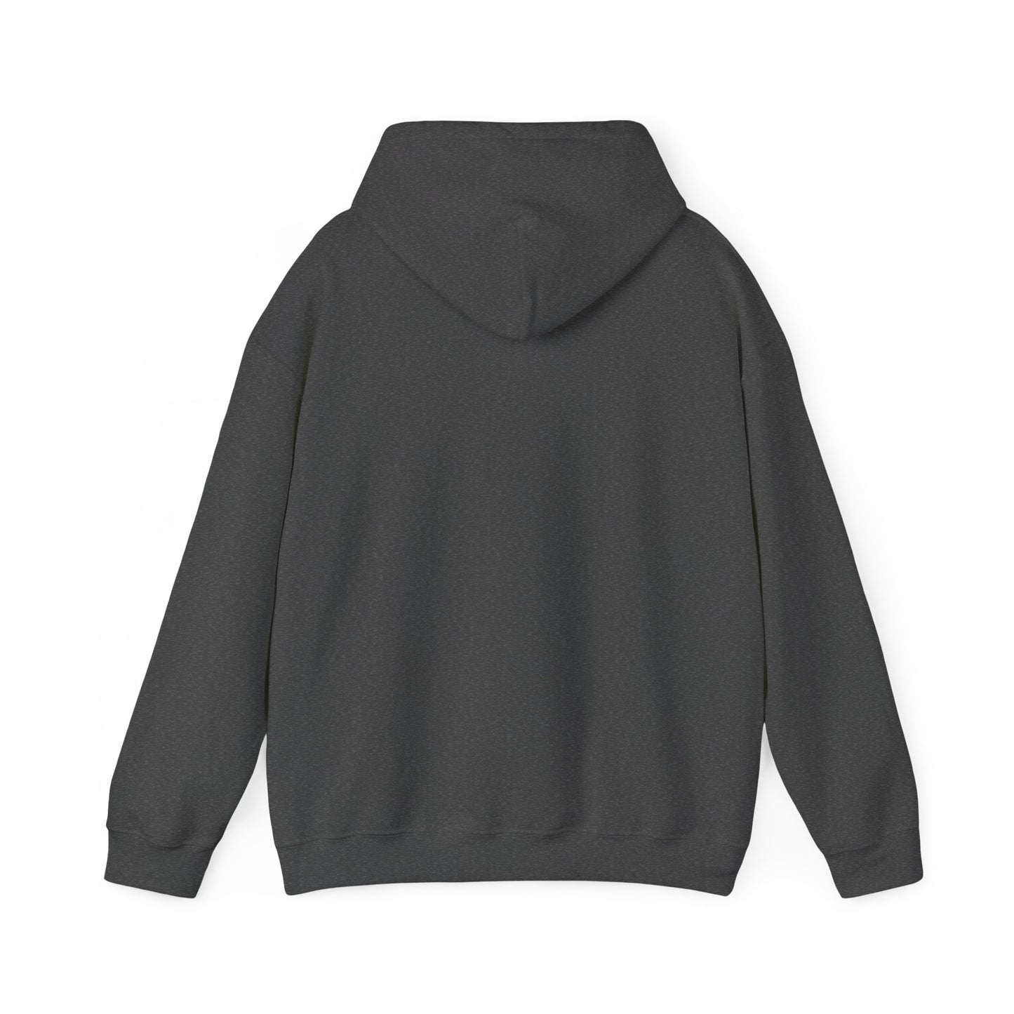 VTC Classic Hoodie