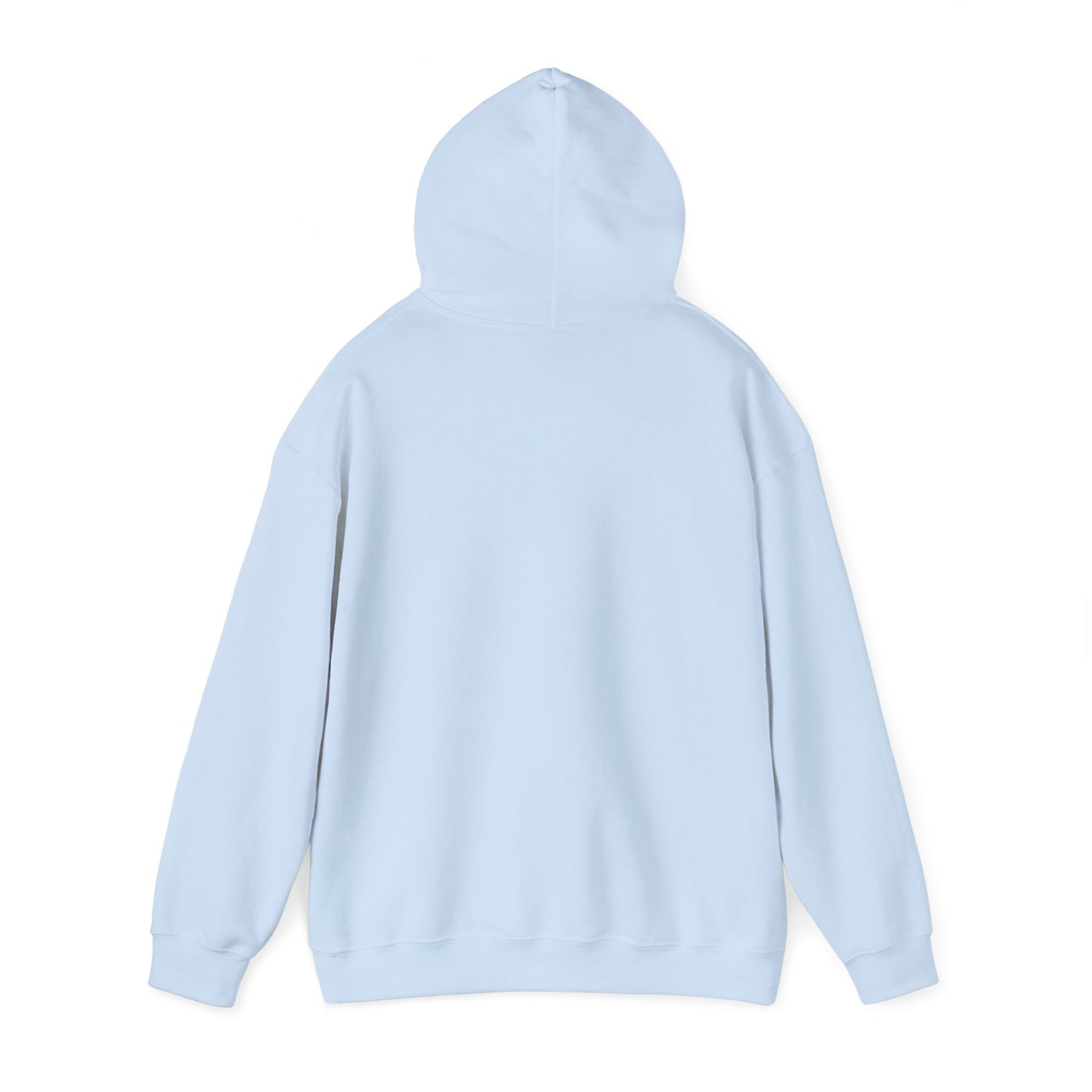 VTC Classic Hoodie