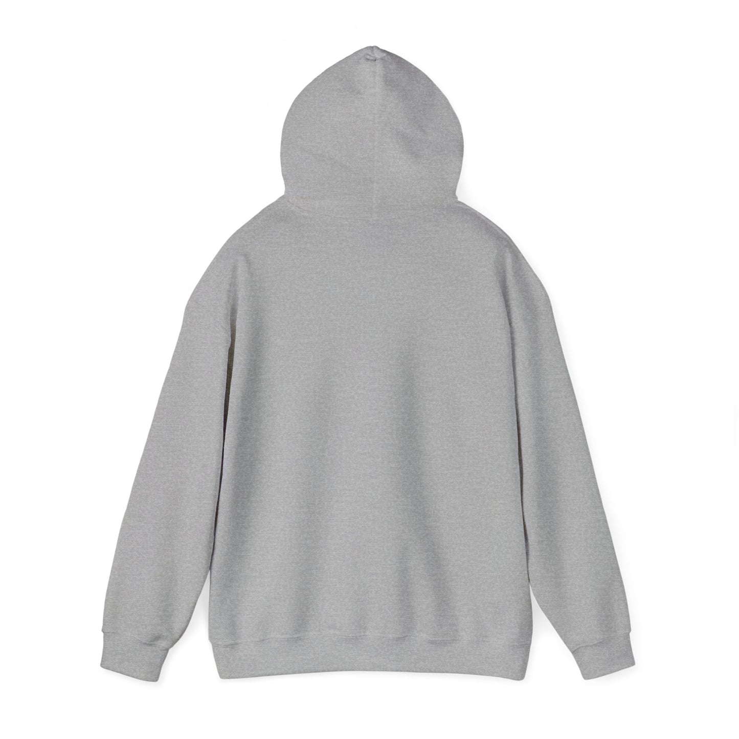 VTC Classic Hoodie