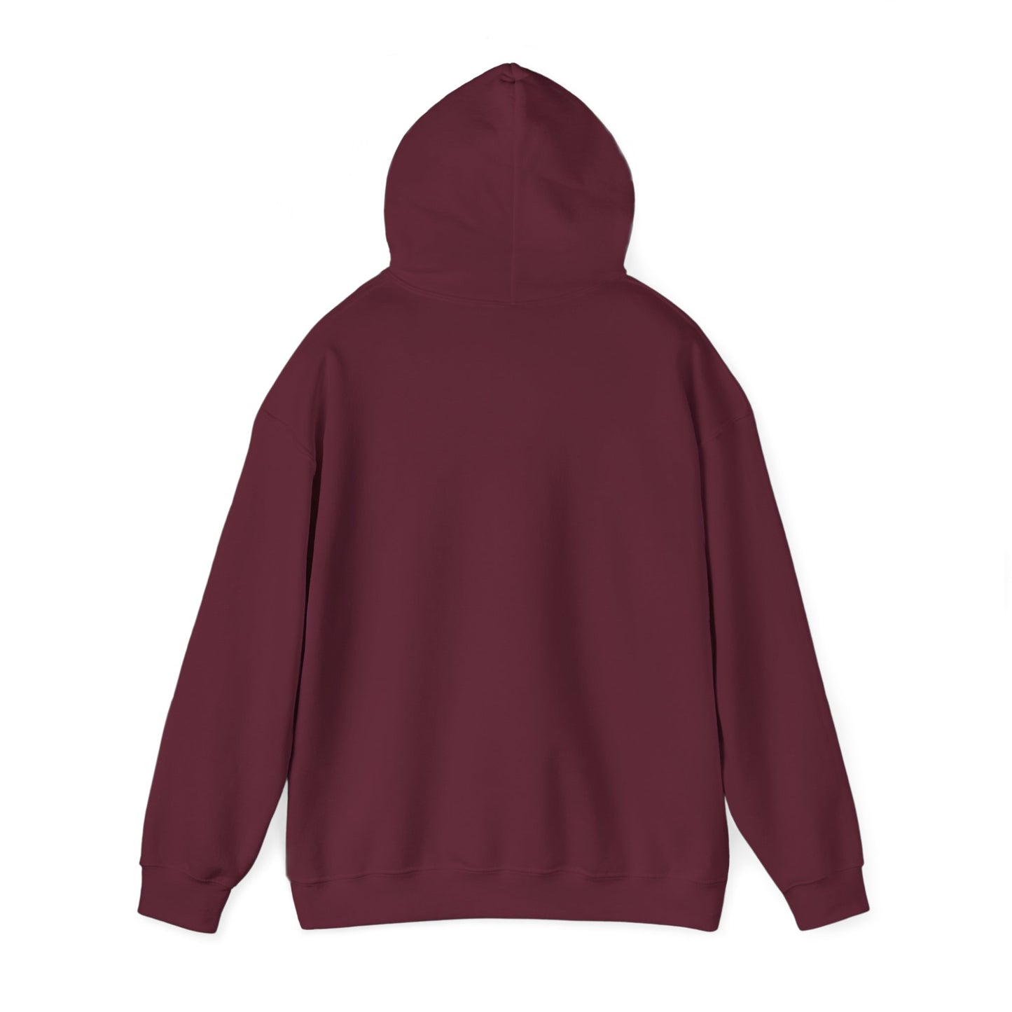 VTC Classic Hoodie