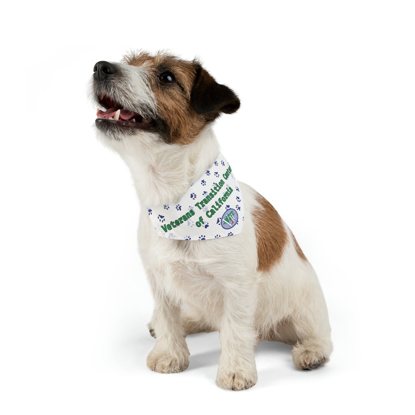 VTC Pet Bandana